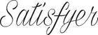 Satisfyer logo 02 883f4f0a bc95 4240 a2e2 bab1d01f68fd