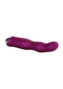 Body and Soul Attraction Vibrator - 2