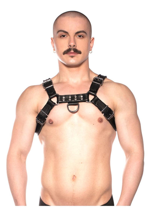 Prowler Red Bull Harness - Black - Small