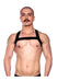 Prowler Red Sports Harness - Black - Large/XLarge